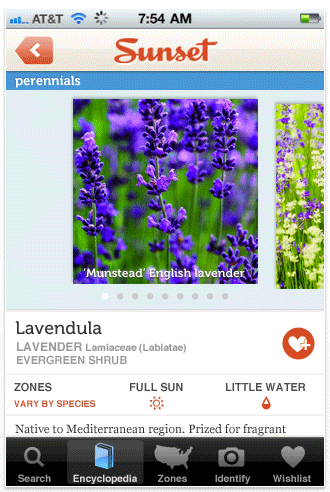Sunset plant details page